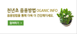 천년초 음용방법